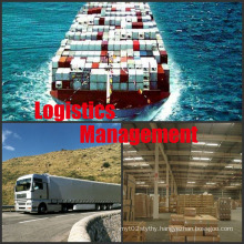 Logistics Management From China to Worldwide